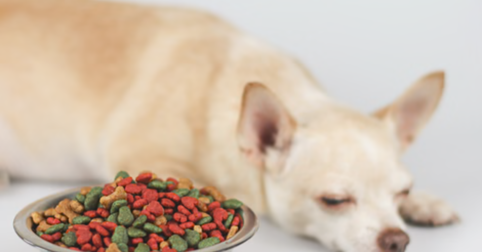How Long Does Dry Dog Food Last? Tips for Safe Storage