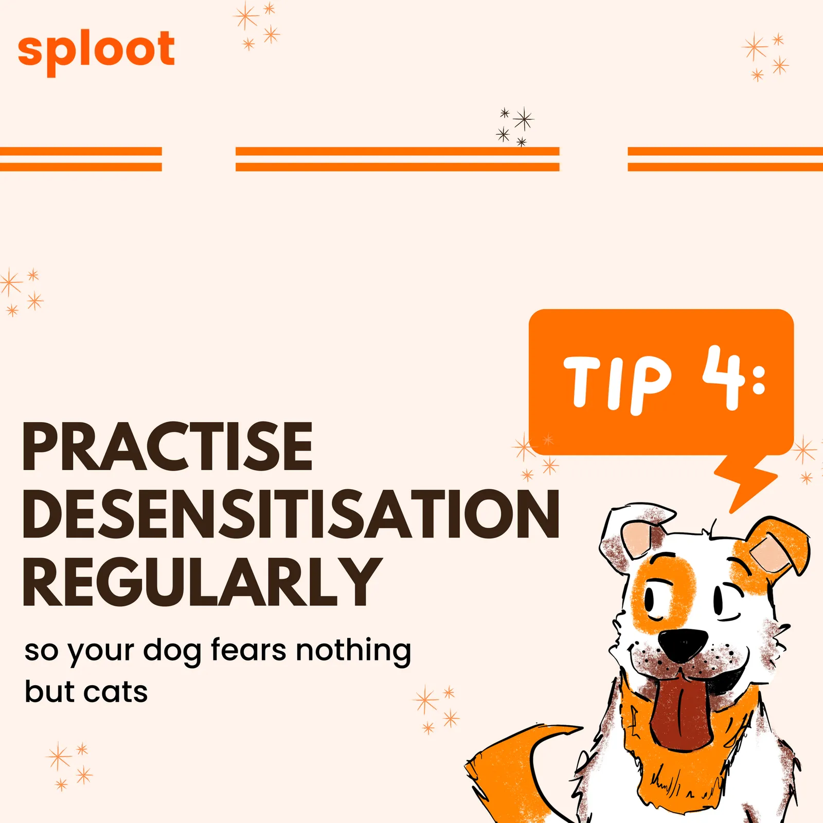 Sploot Tip 4 card: practise desensitisation regularly, so your dog fears nothing but cats