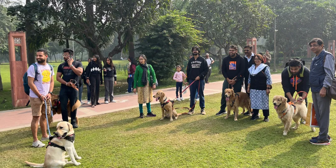 Group of pet parents walking golden retrievers and a labrador on leashes in a park