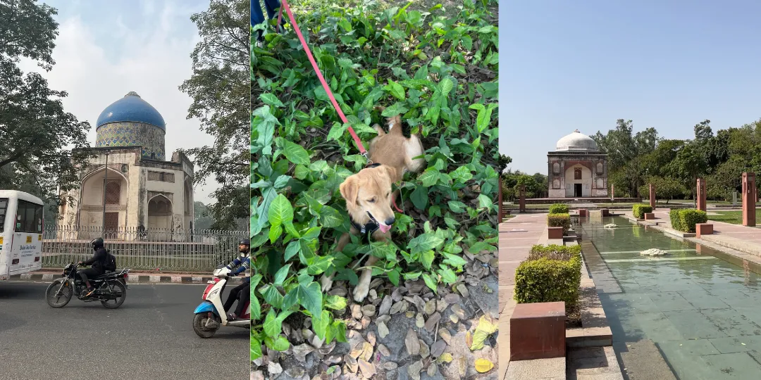 Collage of a Delhi monument by a road, a dog on leash in foliage, and a fountain walkway