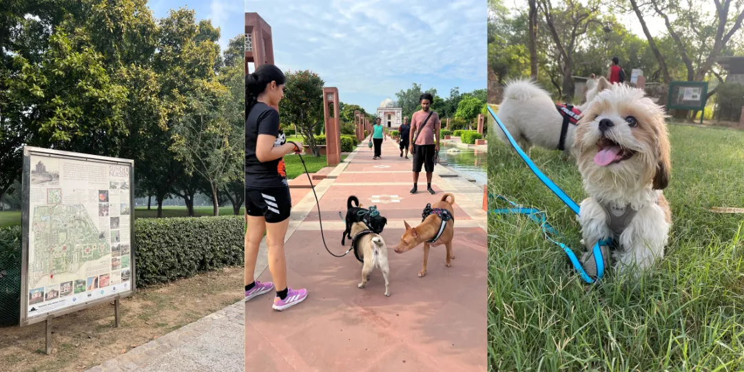 Collage of a park map signboard, people walking dogs, and a fluffy dog on a leash