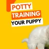 7 Easy Steps To Potty Train Your Puppy In 7 Days