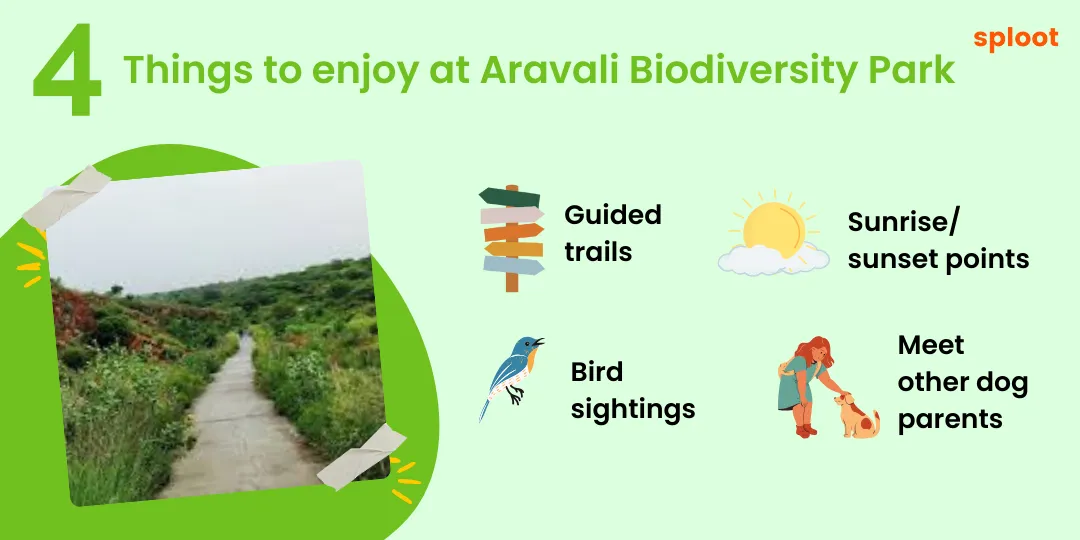 Graphic listing 4 things to enjoy at Aravali Biodiversity Park: trails, sunset, birds, parents