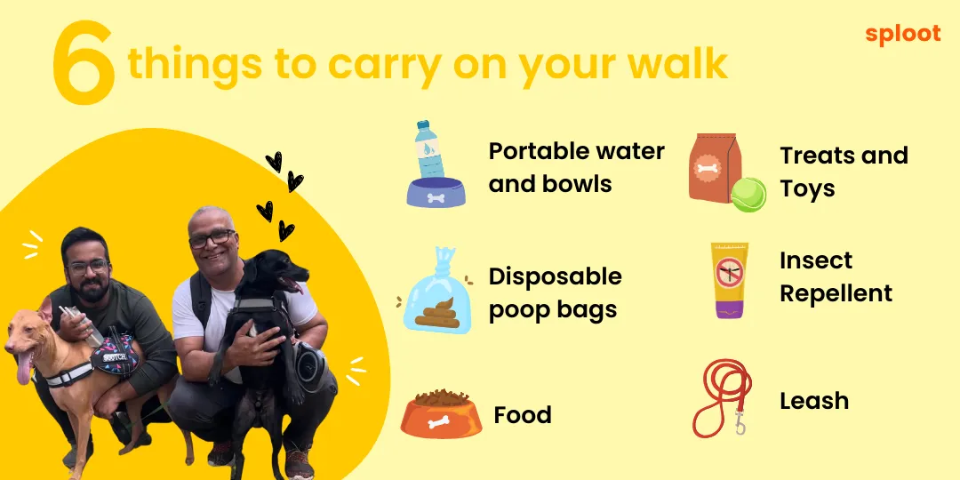 Graphic listing 6 things to carry on a dog walk: water, treats, poop bags, leash