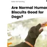 Are Normal Human Biscuits Good for Dogs?