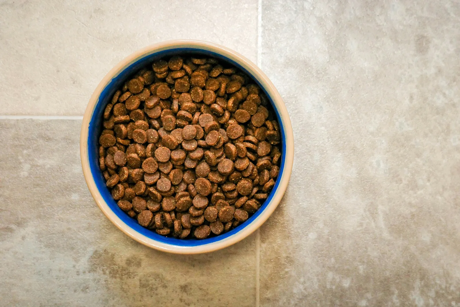 Bowl of dry kibble dog food on a tiled floor