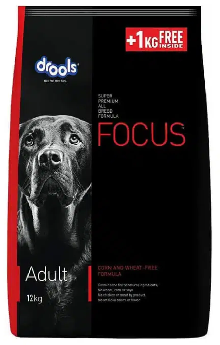 Drools Focus Adult dog food bag showing a black and white dog photo, 12kg pack