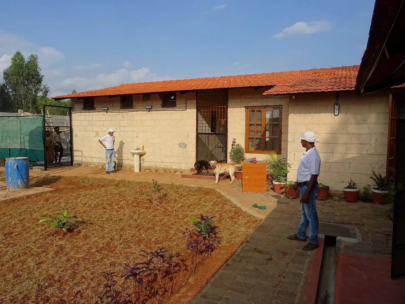 Petboro Pet Resort And Kennel in Whitefield Main Road,Bangalore - Best  Kennel Service near me in Bangalore - Justdial