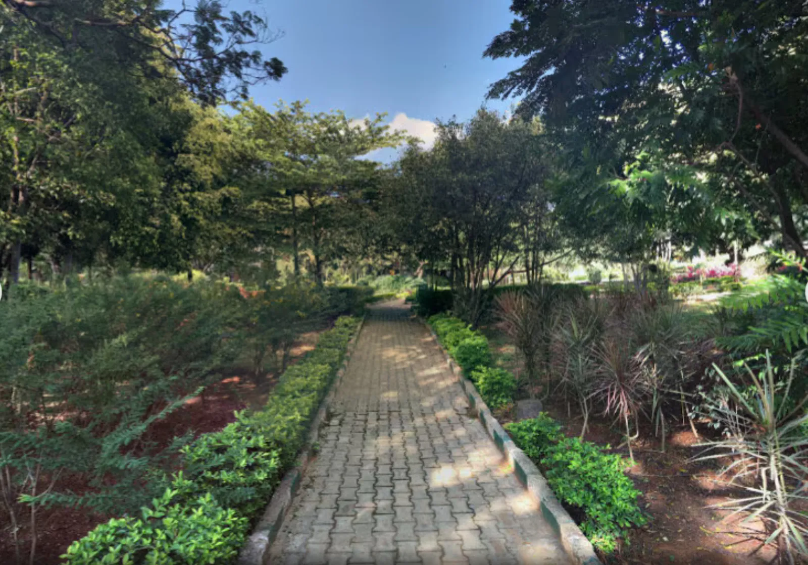 Paved garden pathway lined with trees, shrubs and flowering plants