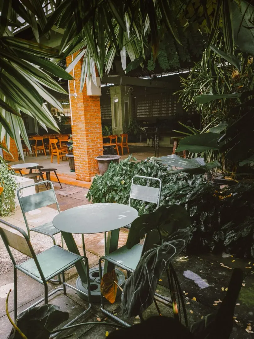 Outdoor cafe seating under green trees