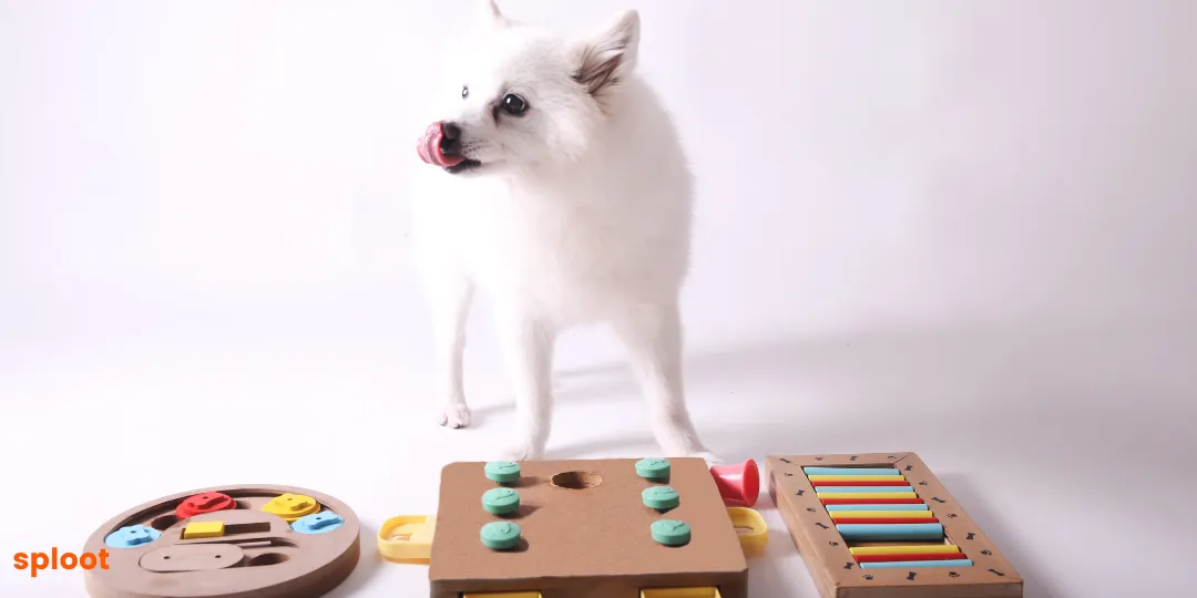 White fluffy dog standing beside three wooden treat puzzle toys