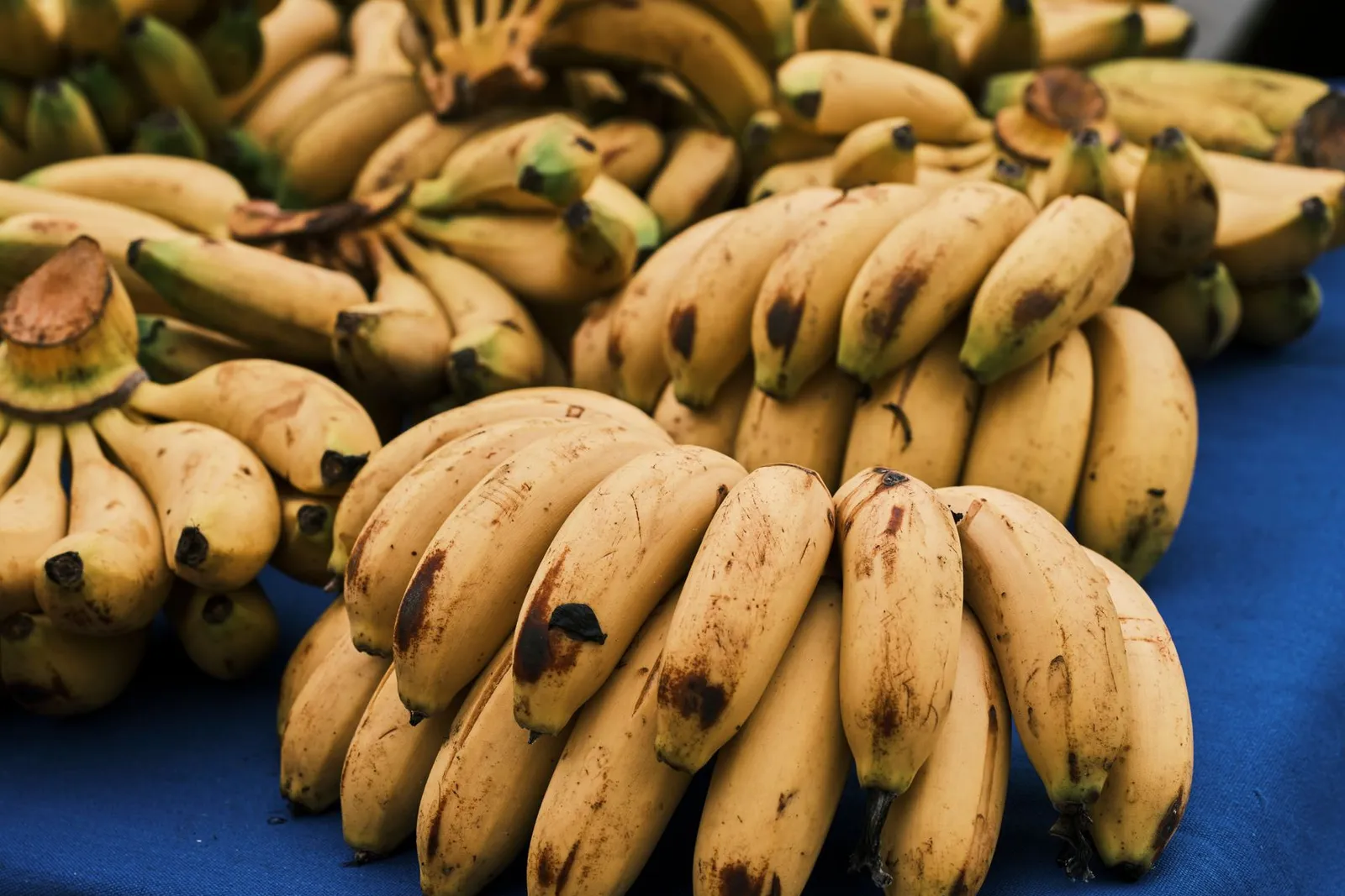 Can Dogs Eat Banana? Safe Peel Prep Portions and Limits