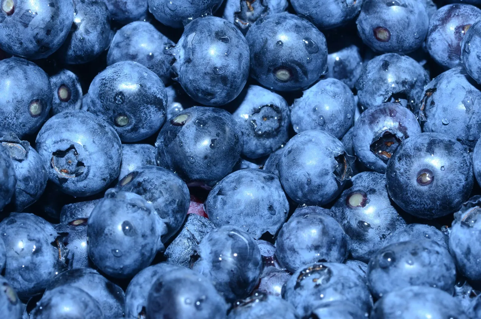 Close-up of fresh blueberries