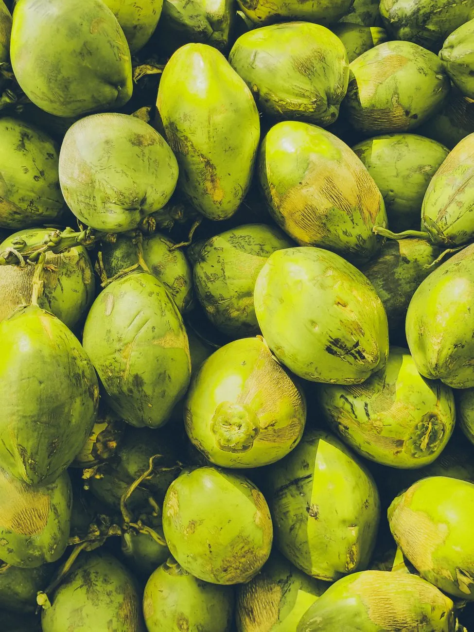 Fresh tender coconut opened for plain meat and water