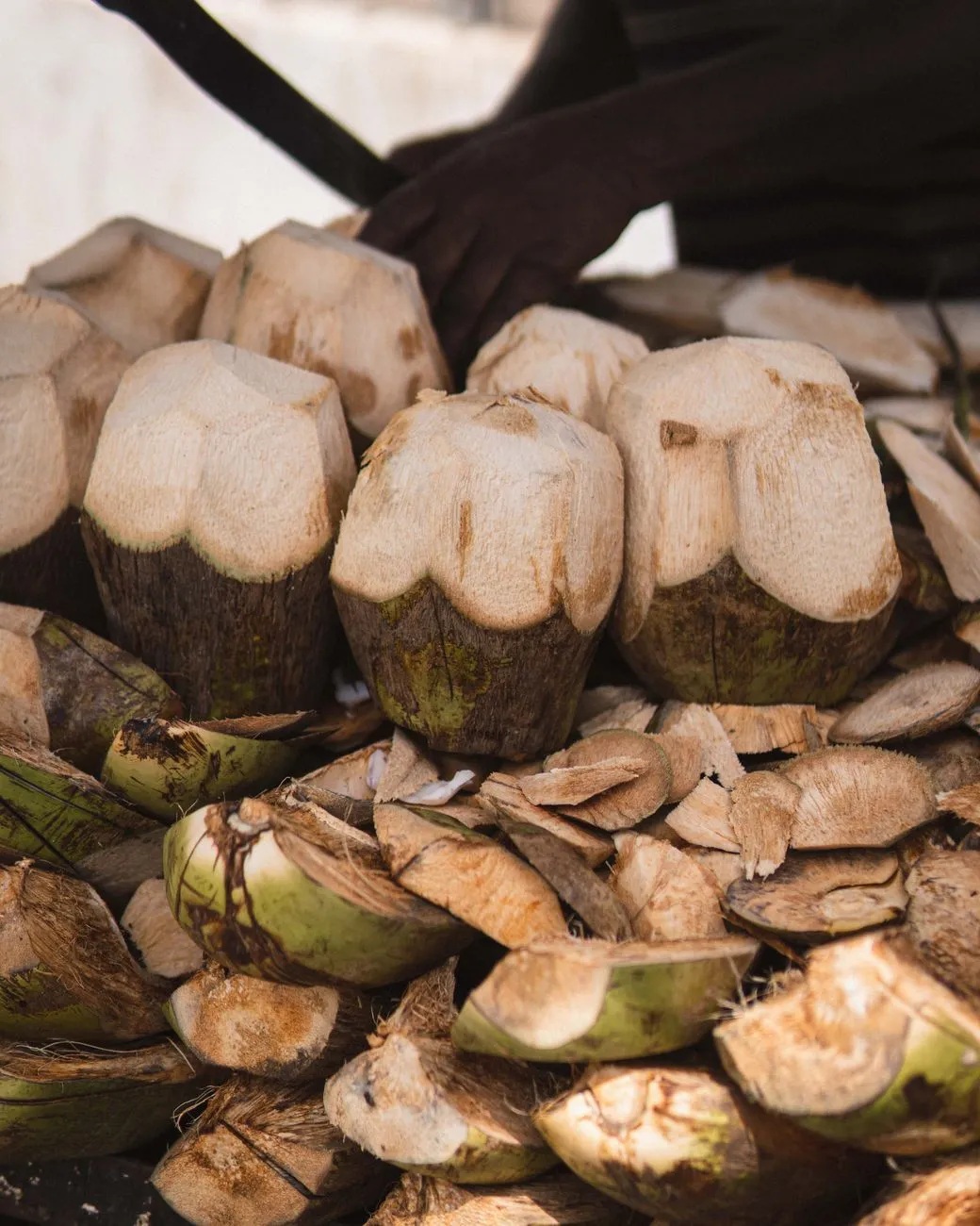 Tiny measured pieces of coconut meat for dog portions
