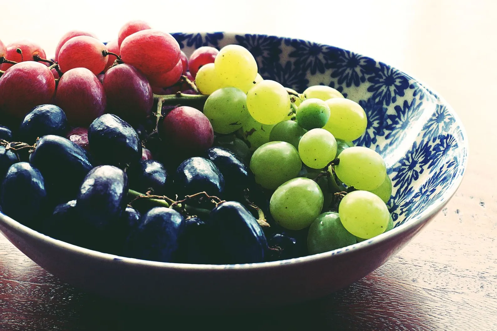 Can Dogs Eat Grapes? No — Toxicity Signs and Next Steps
