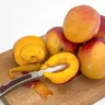 Can Dogs Eat Mango? Skin Pit Prep Portions Safety Guide