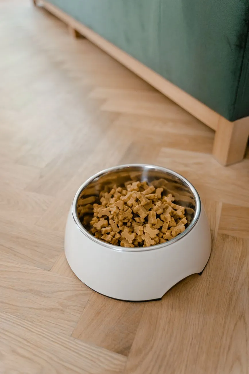 Dog eating from a food bowl at home
