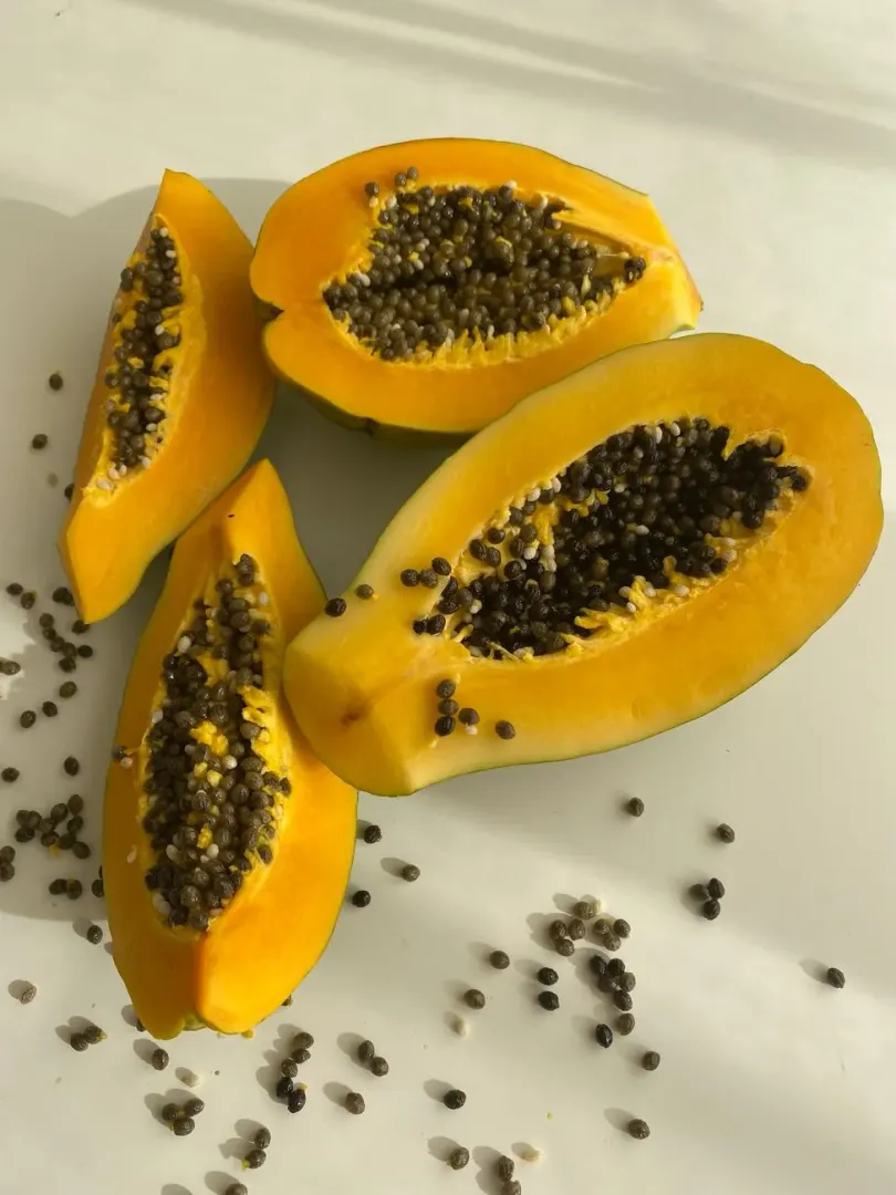 Black papaya seeds scooped out of ripe fruit