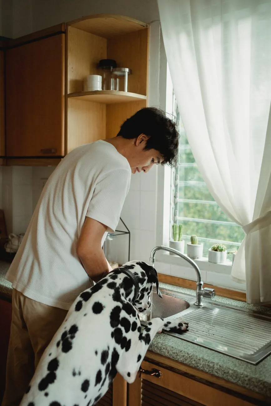 Person in a kitchen with a dog nearby