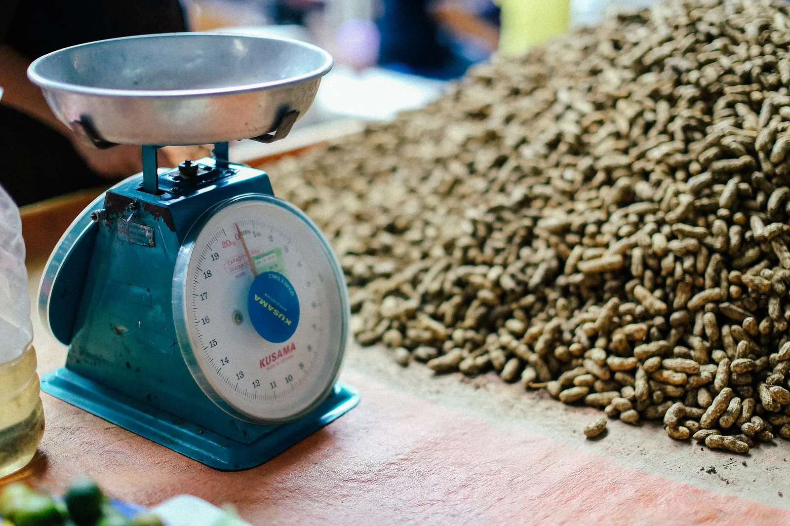 A few peanuts measured as a tiny dog portion