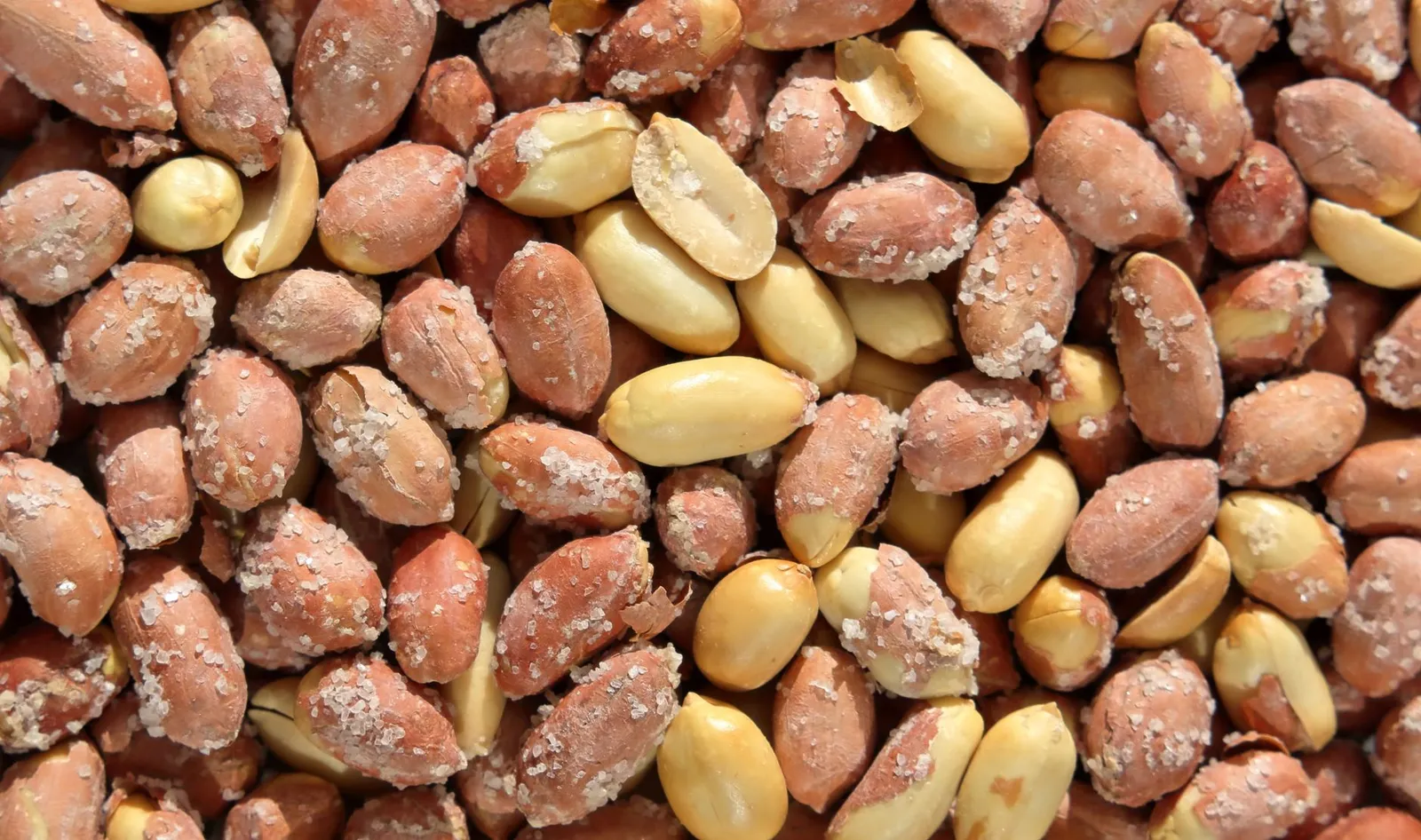 Peanut shells and salted snack mix dogs should avoid