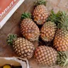 Can Dogs Eat Pineapple? Core, Skin, Prep, Portions Guide