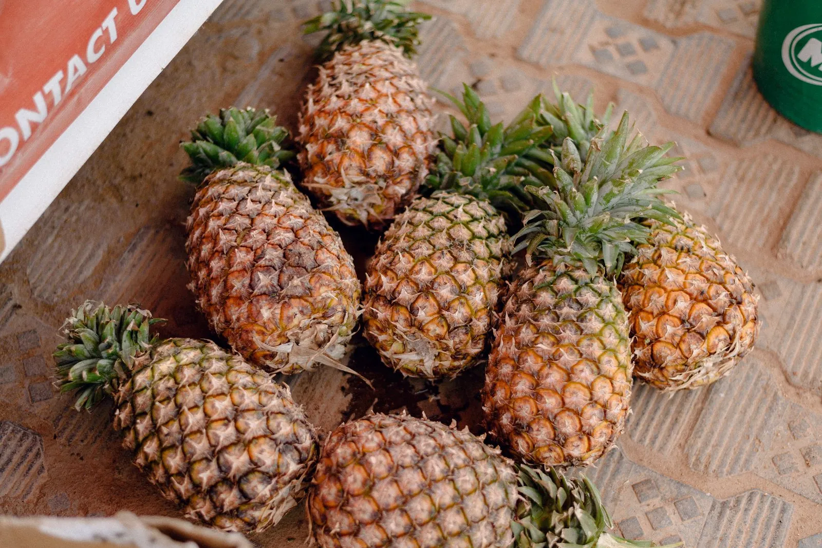 Can Dogs Eat Pineapple? Core, Skin, Prep, Portions Guide