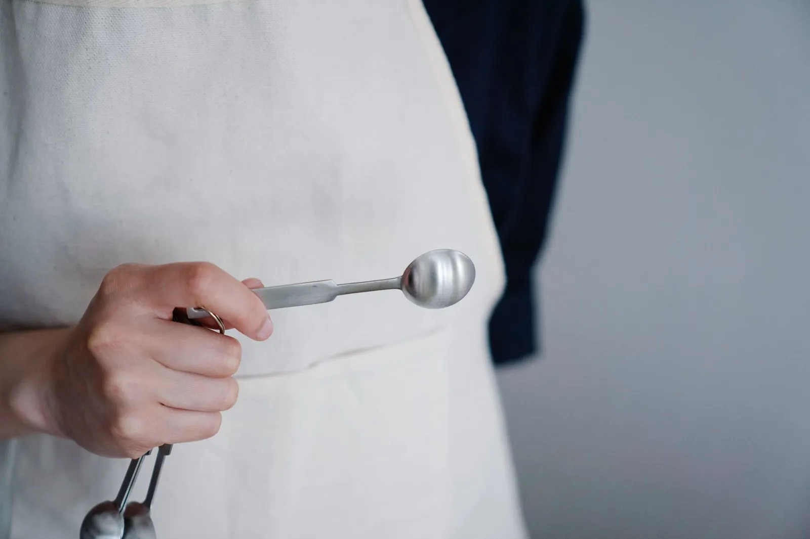 Measured spoon of cooked rice for dog portions