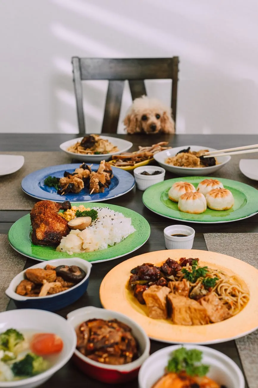 Dog sniffing a bowl of plain cooked rice