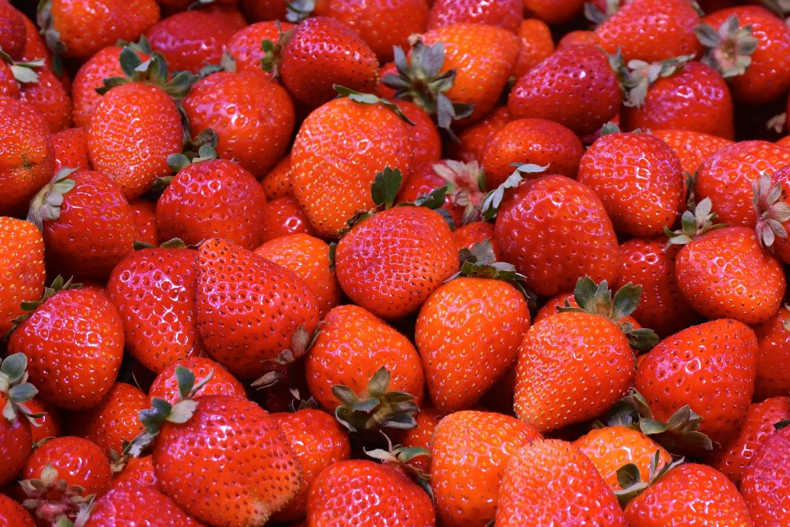 Can Dogs Eat Strawberries: Safe Portions for Dog Parents
