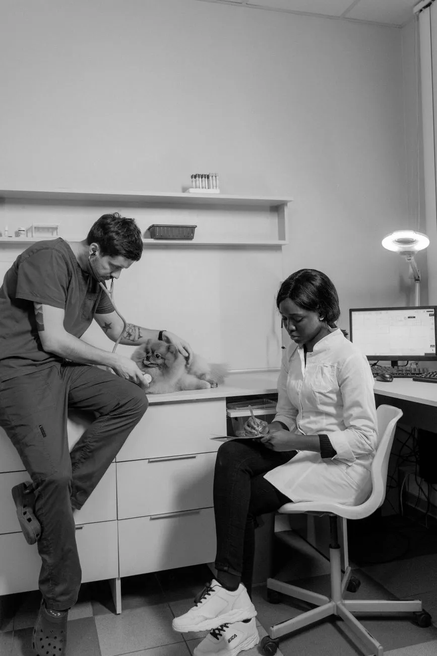 Dog parent talking with a veterinarian about treats and diet