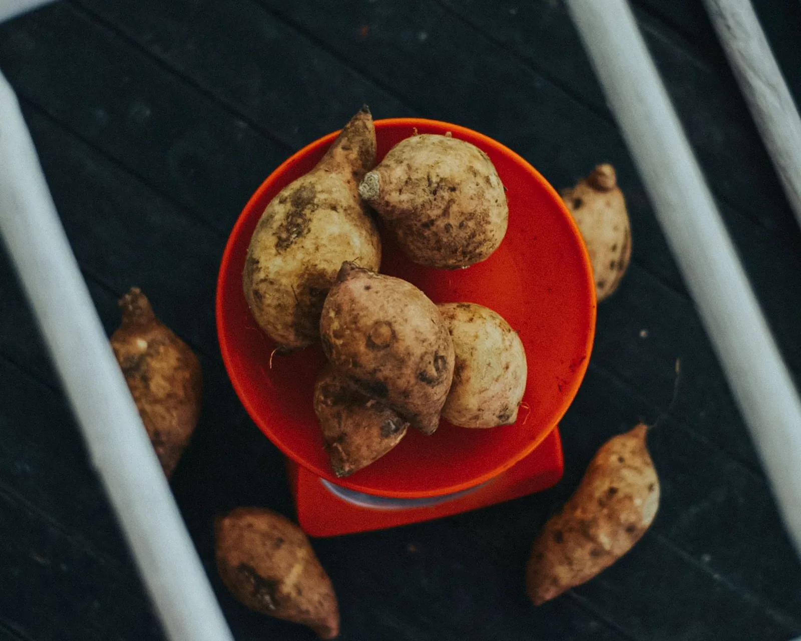 Orange sweet potato showing fibre-rich flesh