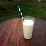 Can I Give Milk to My Dog? Lactose, Curd, Paneer Safety