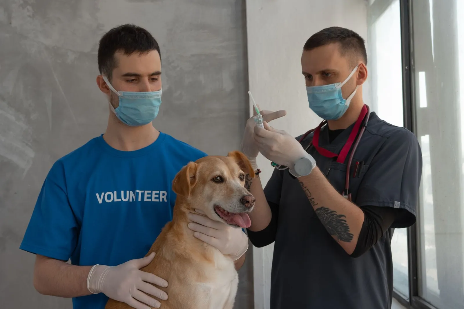 Veterinarian preparing an injection beside a dog in clinic