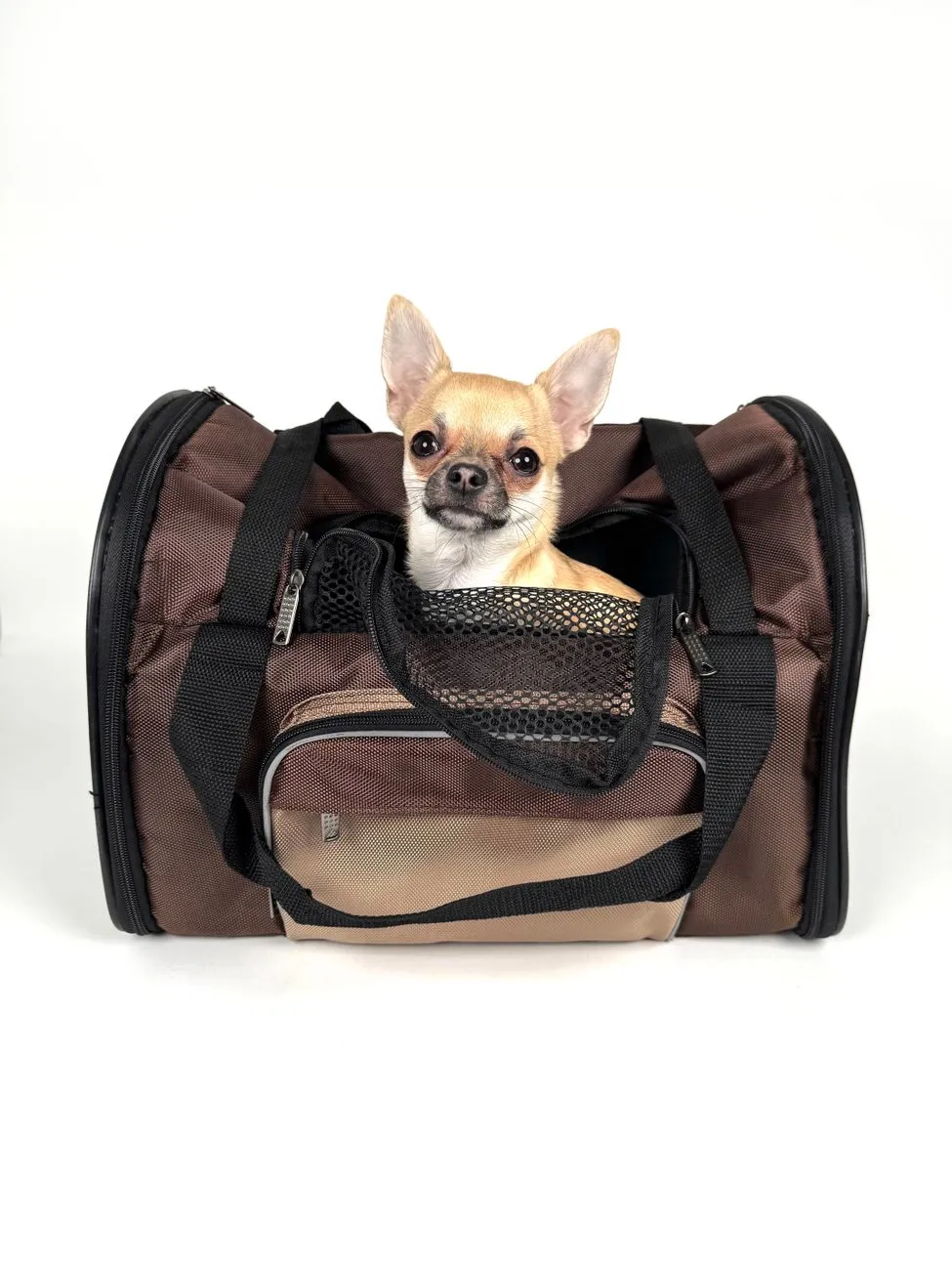 Small dog sitting calmly inside an open soft pet carrier