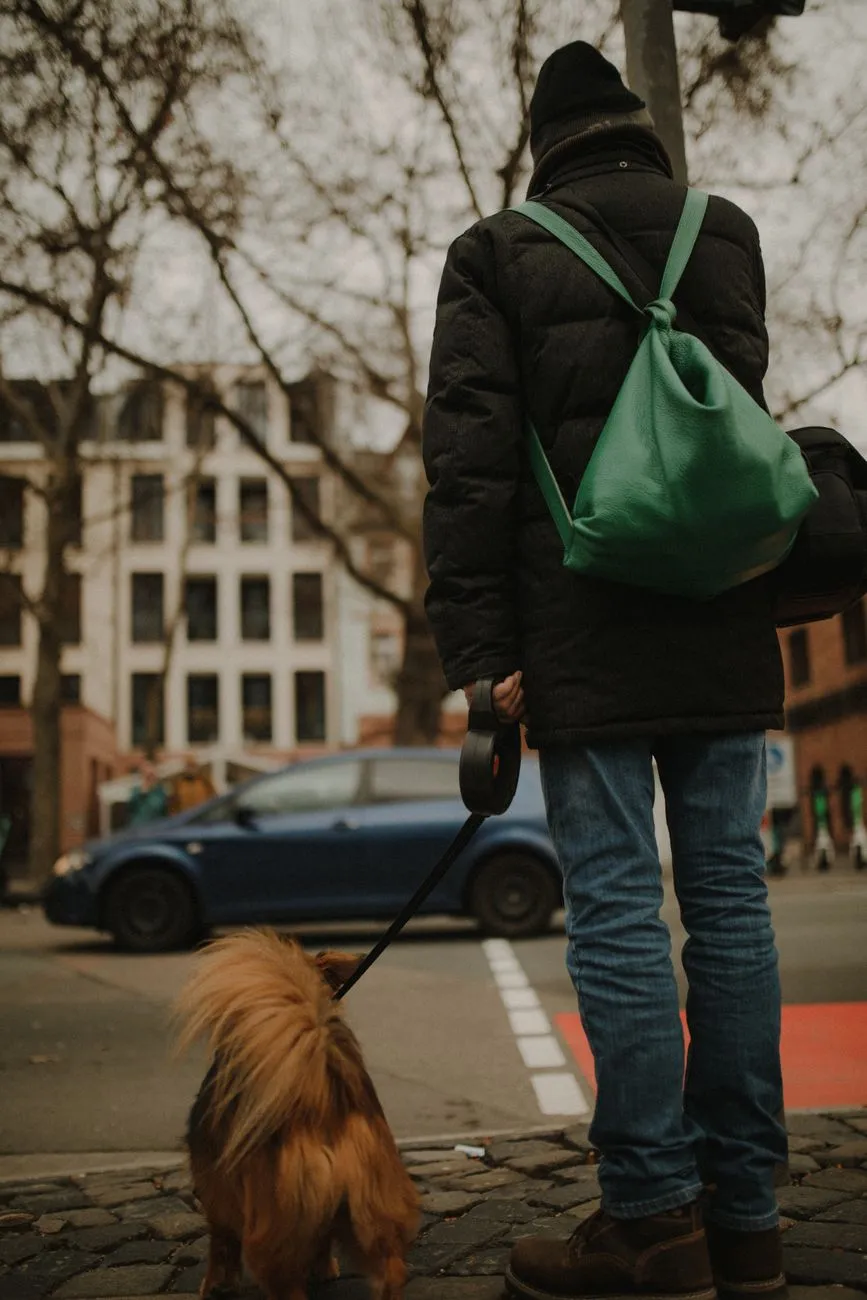 Person walking a dog on a leash on a city street