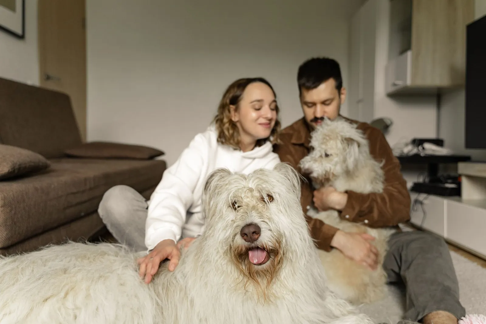 Family petting a dog in a living room