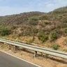 Discover Leopard Trail - A Dog's Ticket to Adventures in Gurgaon