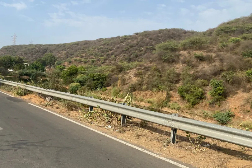 Discover Leopard Trail - A Dog's Ticket to Adventures in Gurgaon