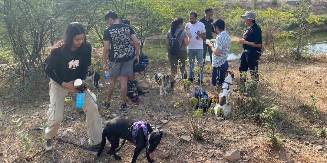 Group of hikers with leashed dogs resting near a pond during a trek at Leopard Trail