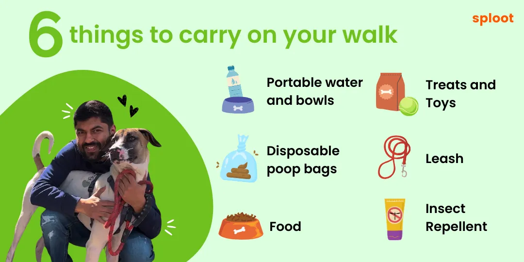 Infographic listing six things to carry on a Leopard Trail walk, with a man hugging his dog