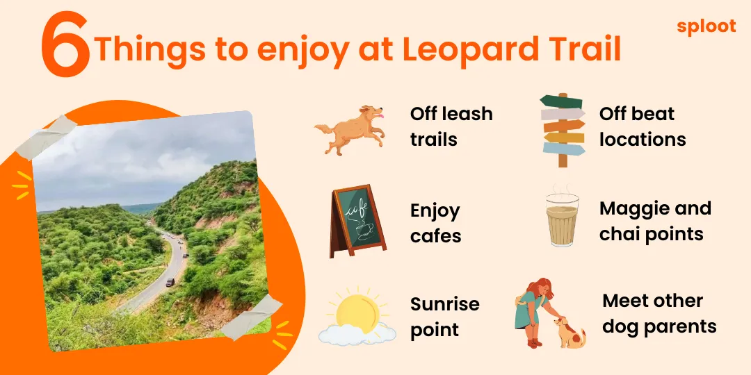 Infographic listing six things to enjoy at Leopard Trail, including off-leash trails and cafes