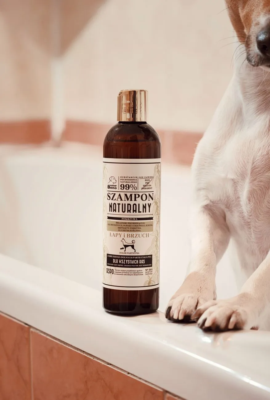 Dog shampoo bottle next to towels ready for a home bath