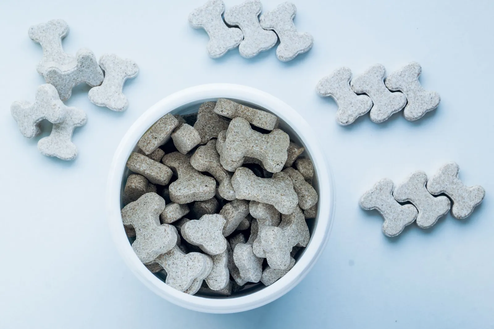 Dog Biscuits: Price, Labels, and Safe Picks for India
