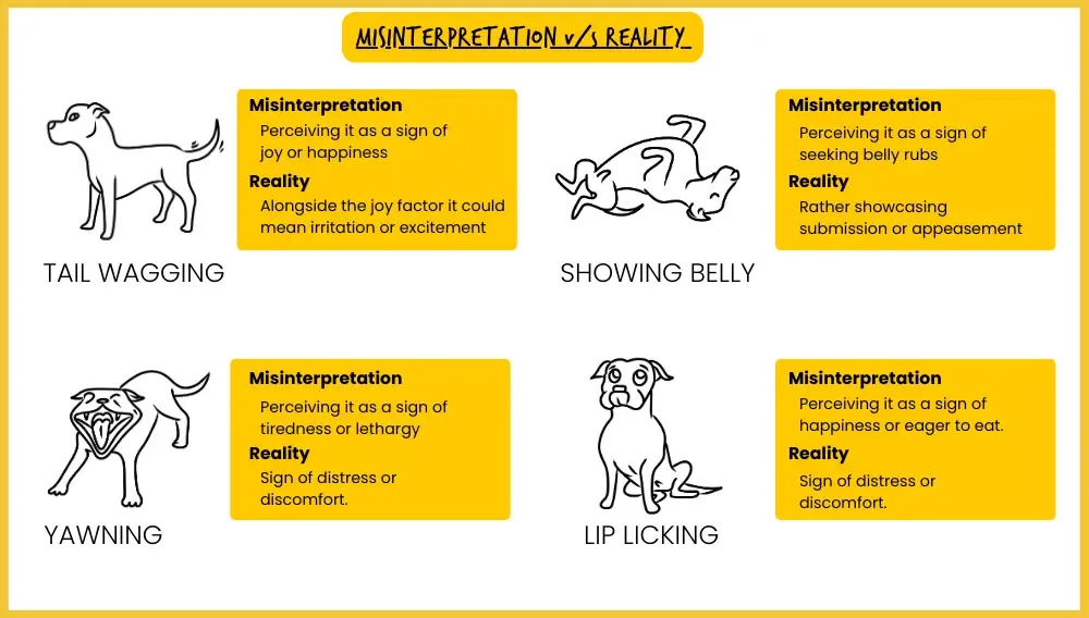 Infographic contrasting tail wagging, showing belly, yawning, and lip licking with what they really mean