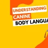 Understanding Canine Body Language