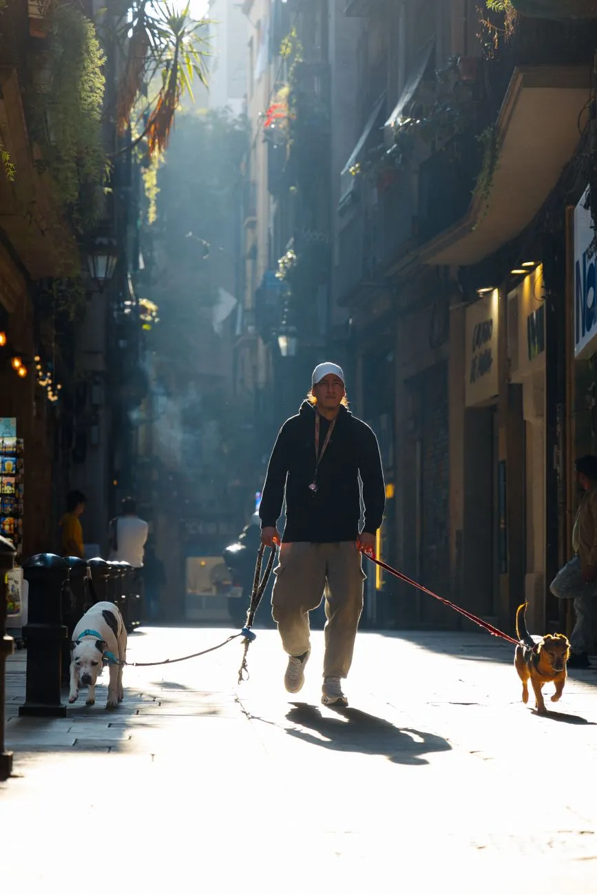 Dog parent walking a dog on a morning city street