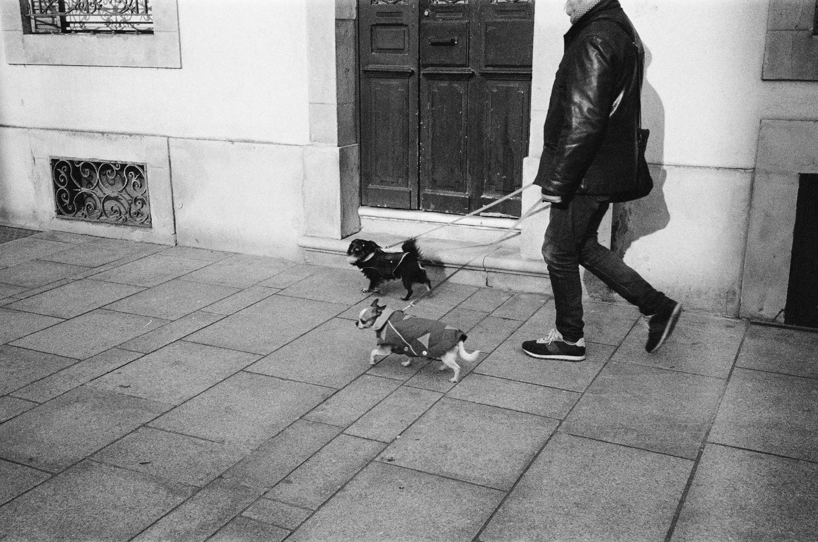 Person walking a small dog on a city sidewalk