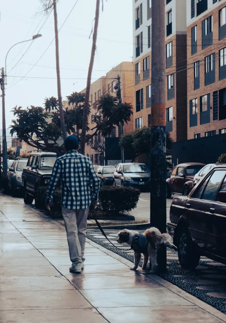 Person walking a dog on a city sidewalk